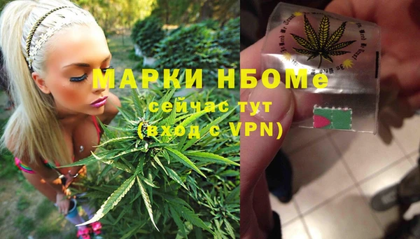 мдпв Краснослободск