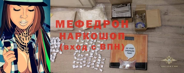 мдпв Краснослободск