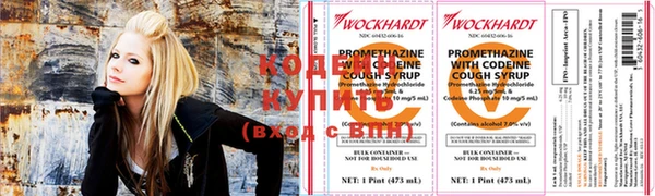 мдпв Краснослободск