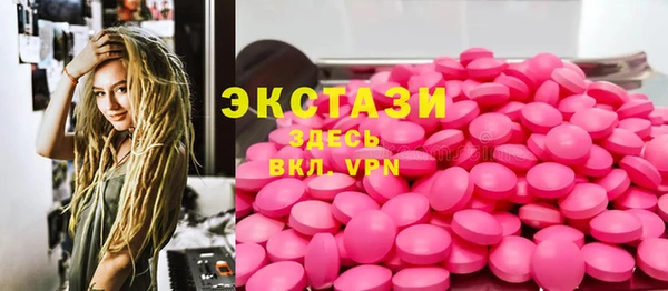 мдпв Краснослободск
