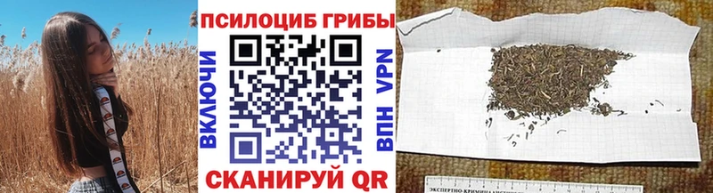Псилоцибиновые грибы GOLDEN TEACHER  mega онион  Шацк 