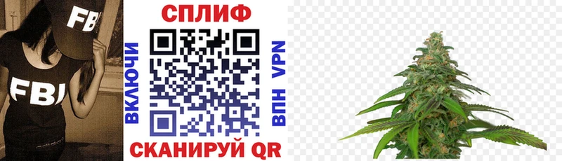 где можно купить наркотик  Шацк  Конопля OG Kush 